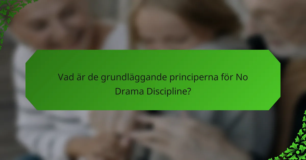 Vad är de grundläggande principerna för No Drama Discipline?