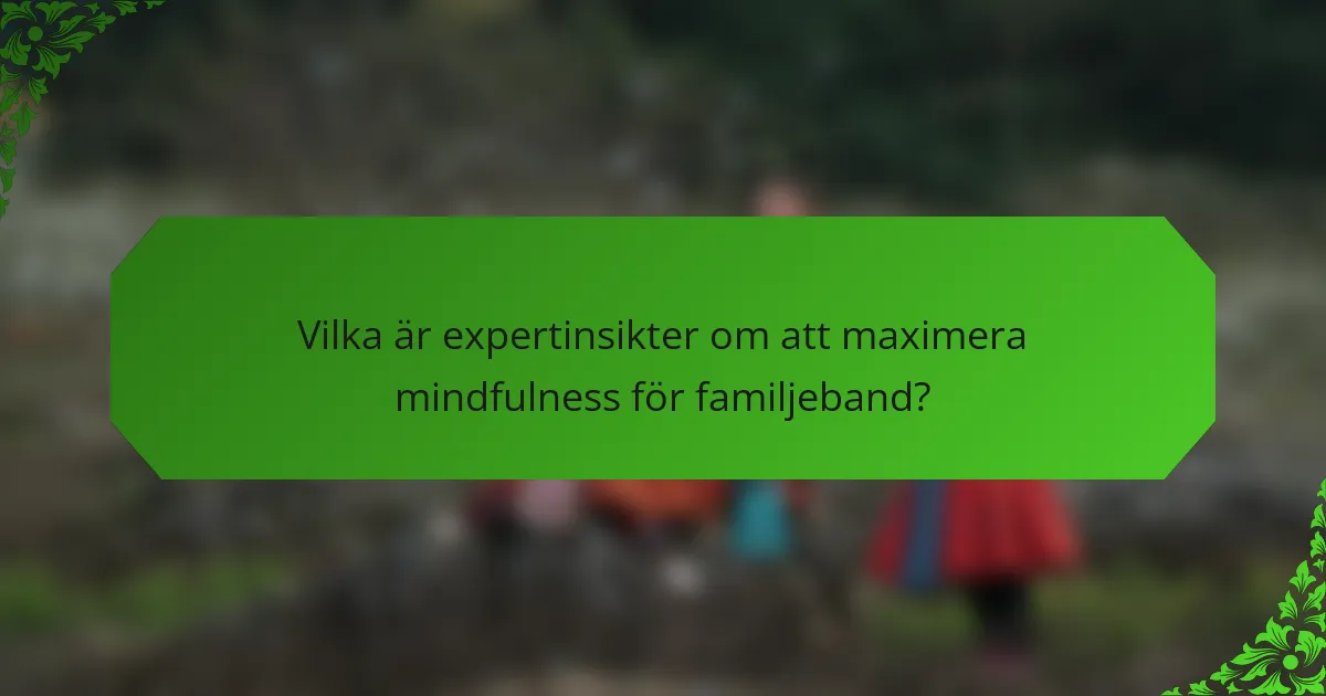 Vilka är expertinsikter om att maximera mindfulness för familjeband?