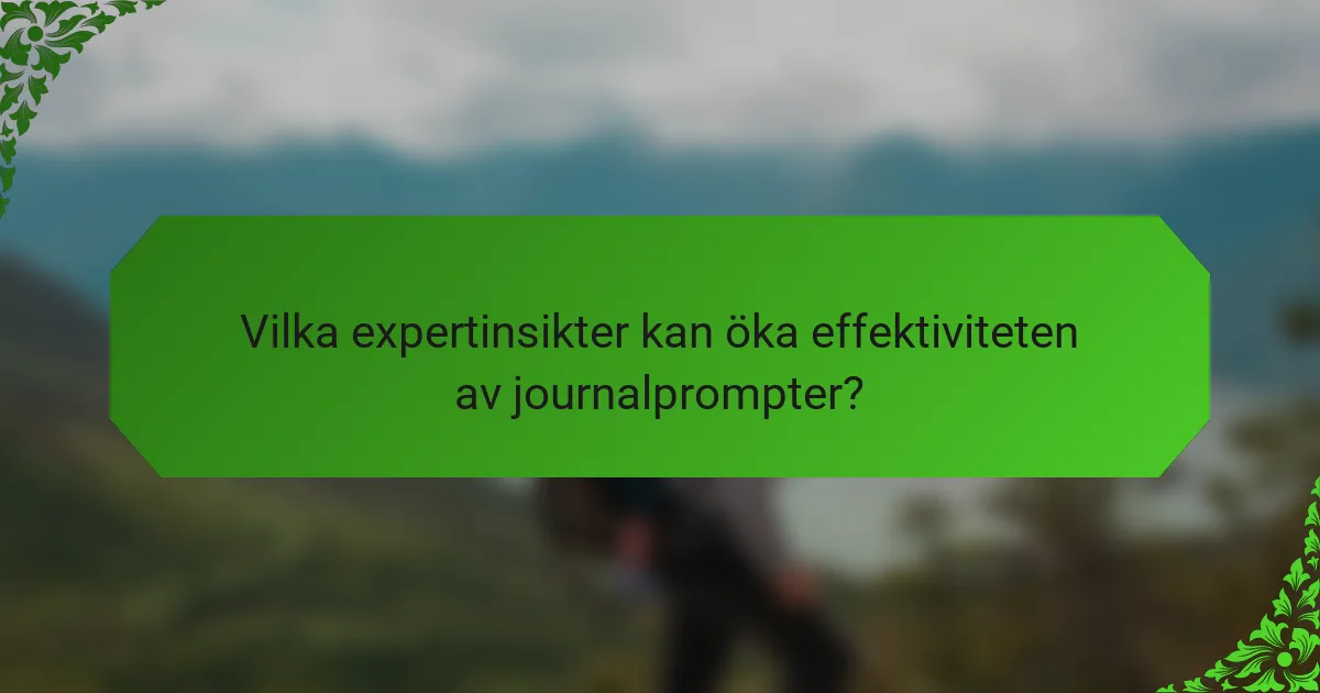 Vilka expertinsikter kan öka effektiviteten av journalprompter?